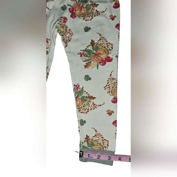 Burt's Bees Kids Boy Girl Thanksgiving Celebration Organic 2pc PJ Set Sz 4T - Picture 14 of 16